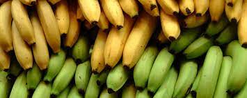 Festival da Banana: