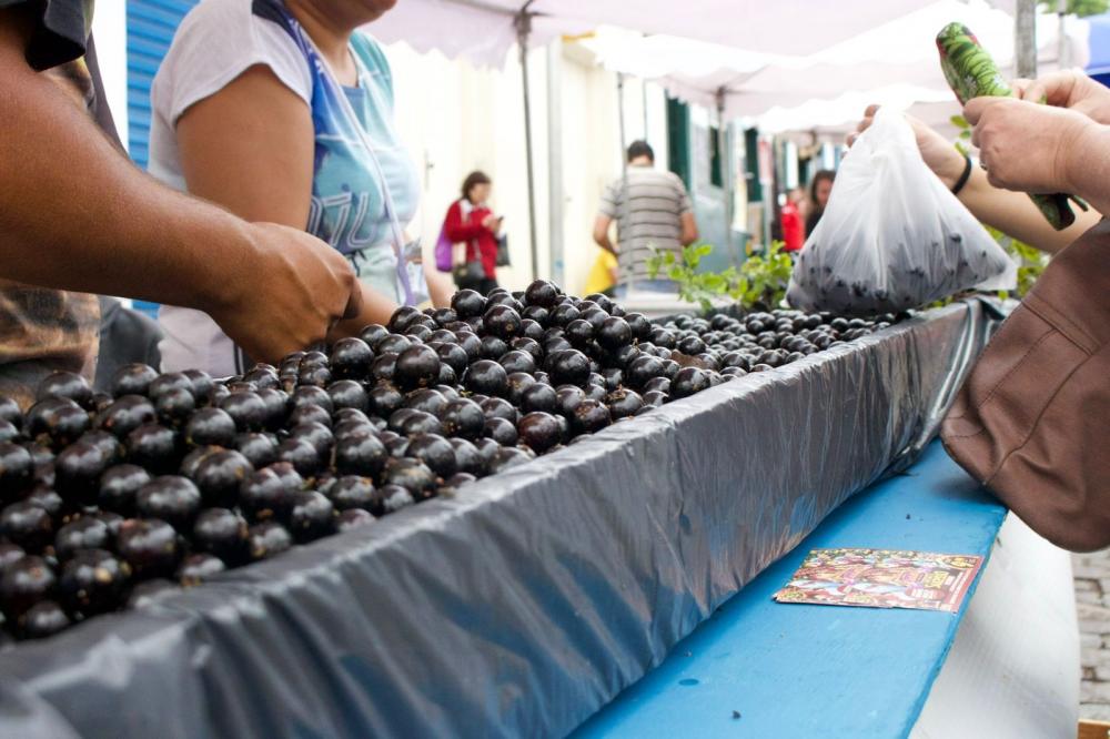FESTIVAL DA JABUTICABA DE SABARÁ: