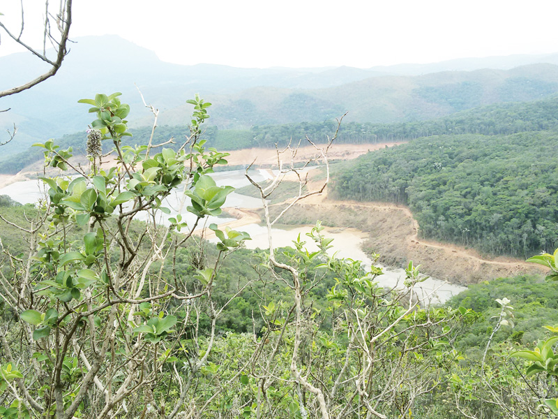 Os desafios da preservação do Meio ambiente
