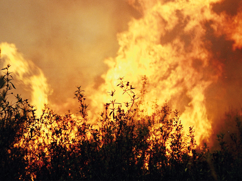 Temperaturas altas e tempo seco aumentam focos de incêndio na cidade