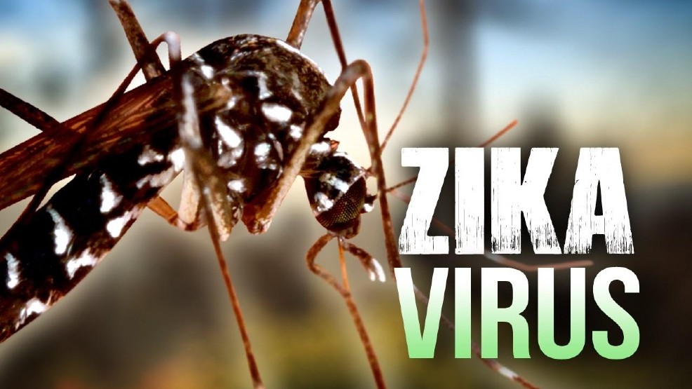 Casos de Zika caem 98% em 2017 no Brasil