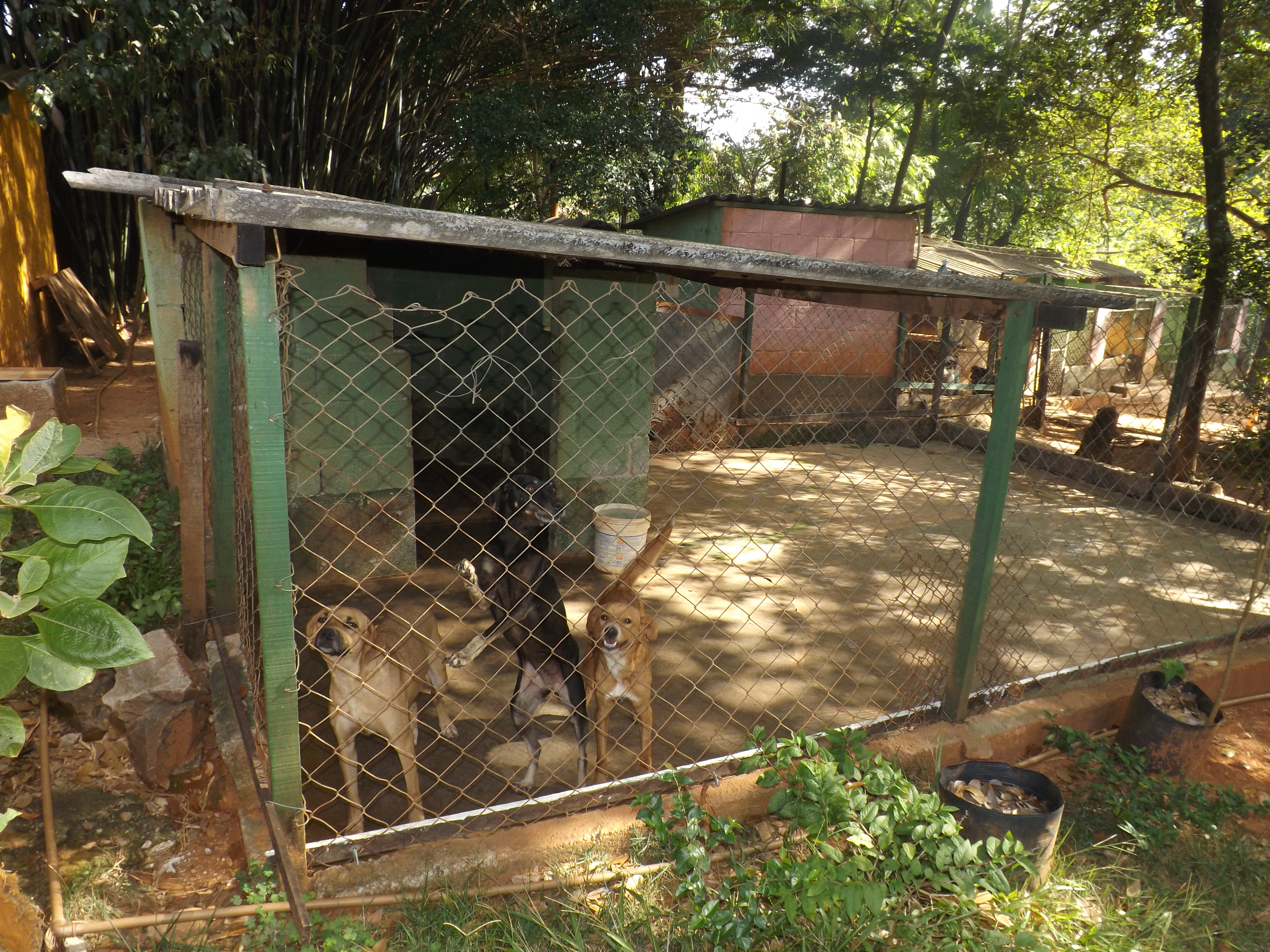 Aspan é interditada pela Vigilância Sanitária do Estado
