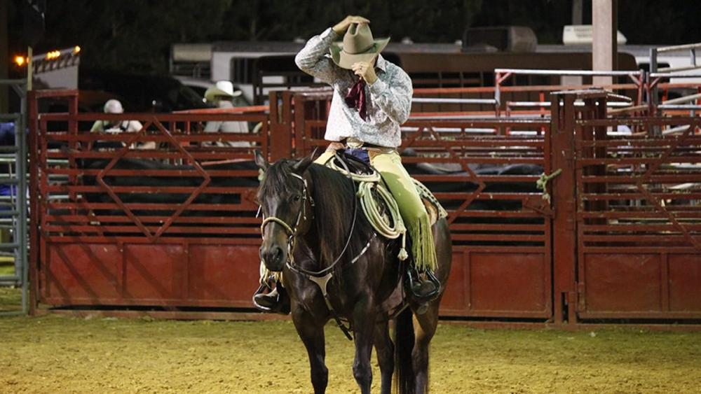 Justiça suspende rodeio em Pedro Leopoldo por entender que causa 'sofrimento' aos animais 