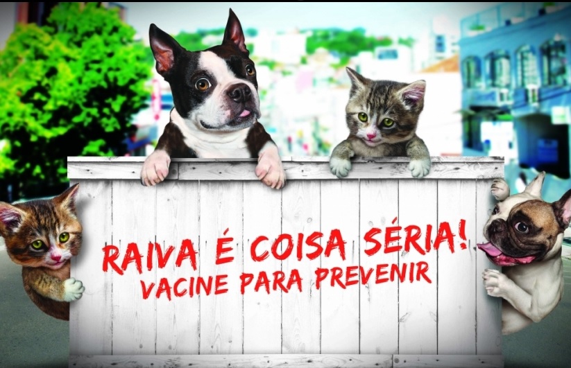 Vacinação contra raiva. Proteja seu cão ou gato!