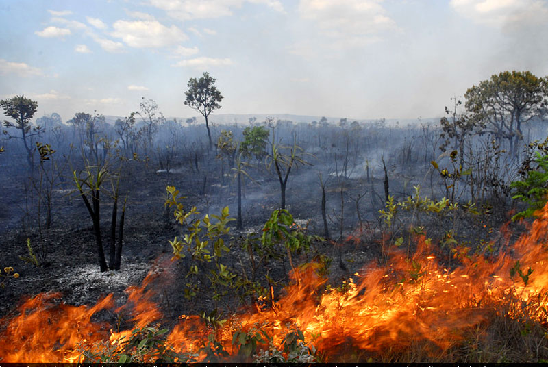 Tempo seco provoca incêndio em vários pontos da cidade