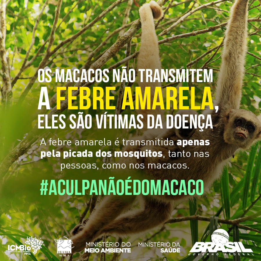 Controle contra a febre amarela