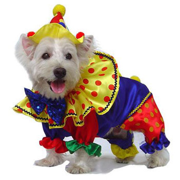 Bloco Pet promete contagiar o carnaval