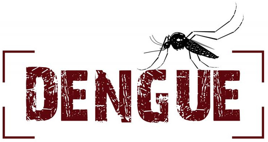 O combate à Dengue não pode parar