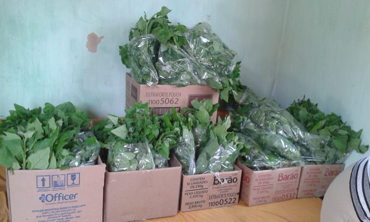 Sustentabilidade e responsabilidade social