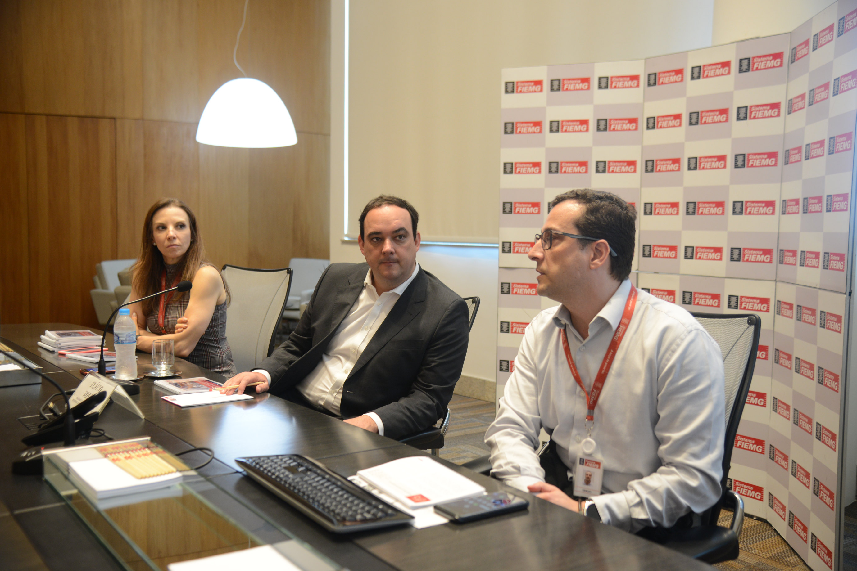 FIEMG estima retomada do crescimento para 2019