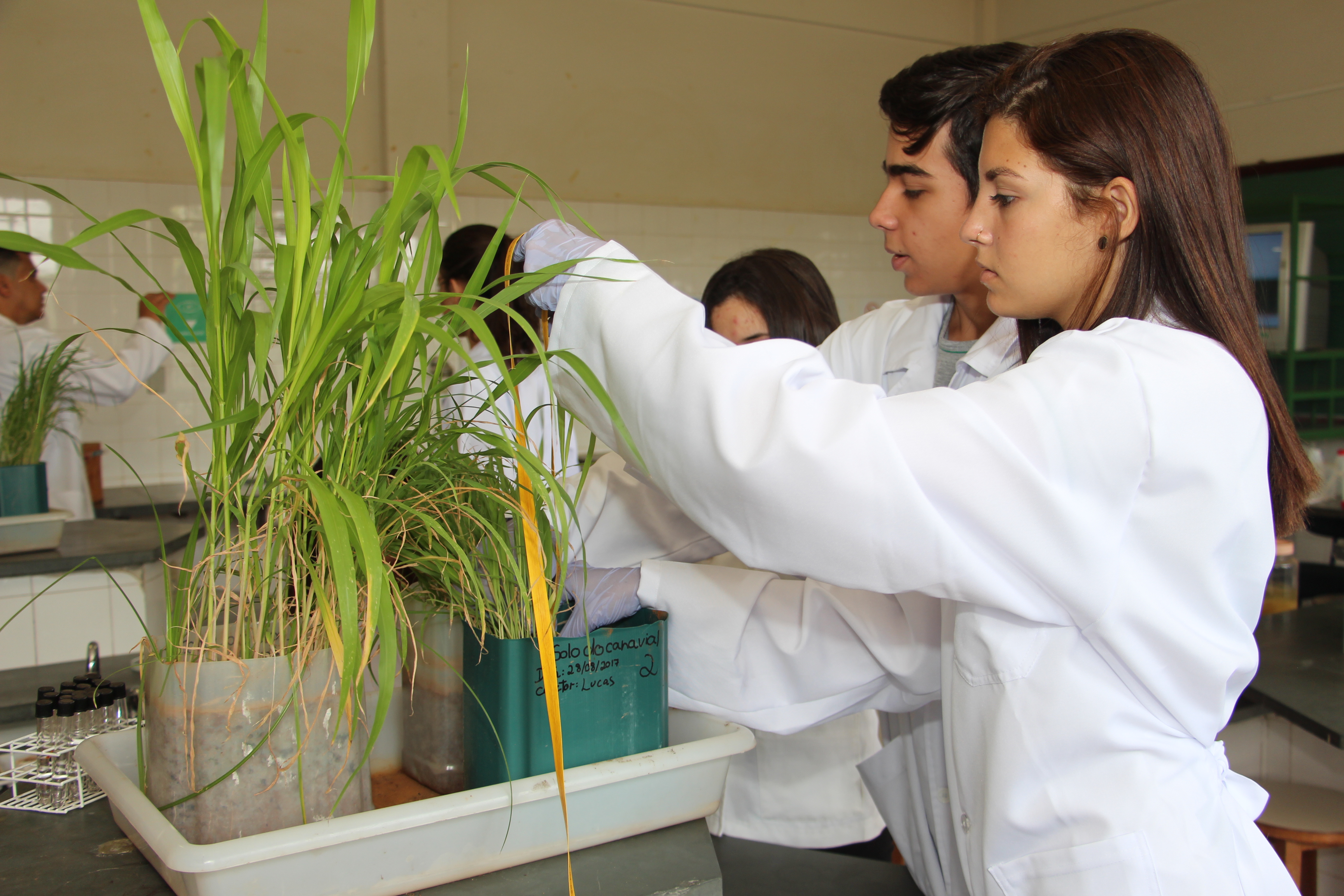 EPAMIG ITAC abre inscrições para curso técnico em agropecuária