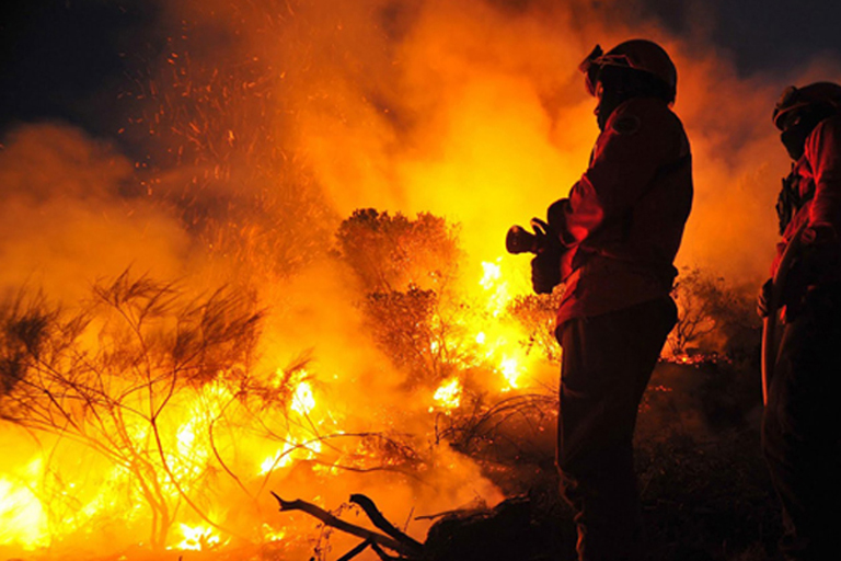 Blitz educativa contra incêndios florestais