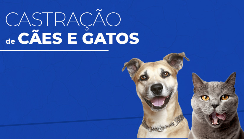 Cadastro para Castração Gratuita de Animais em Sabará