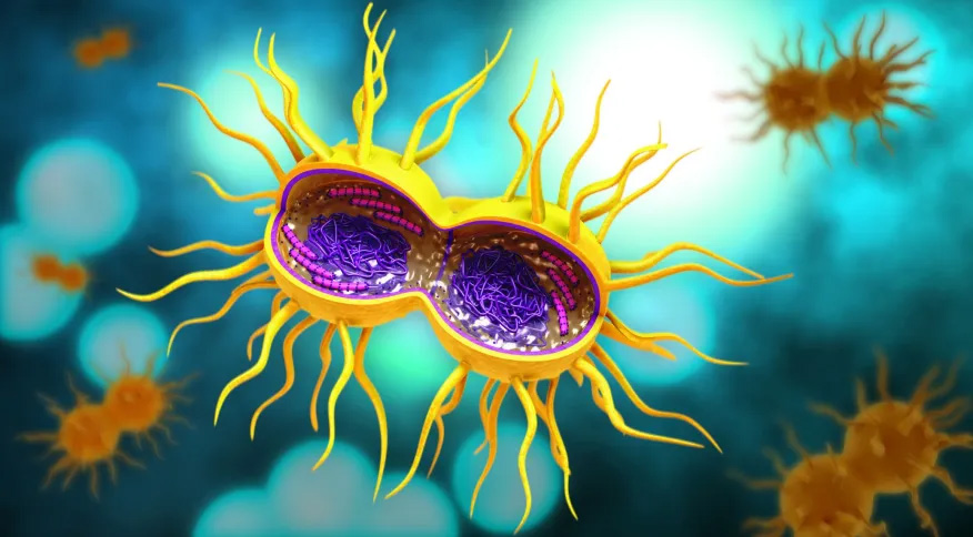 Supergonorreia: o que se sabe sobre a infecção resistente aos antibióticos
