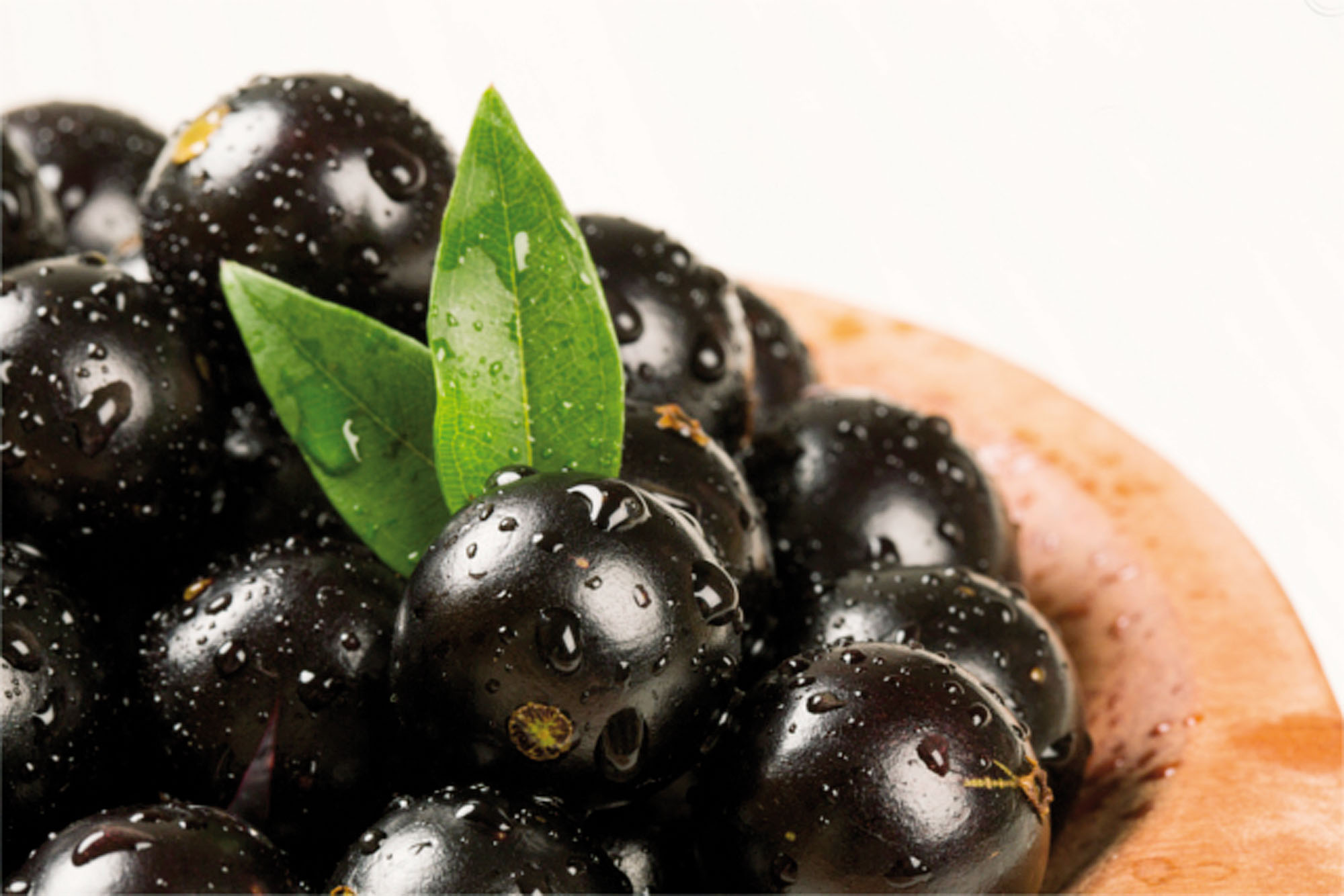 Vem aí o maior Festival da Jabuticaba do Brasil
