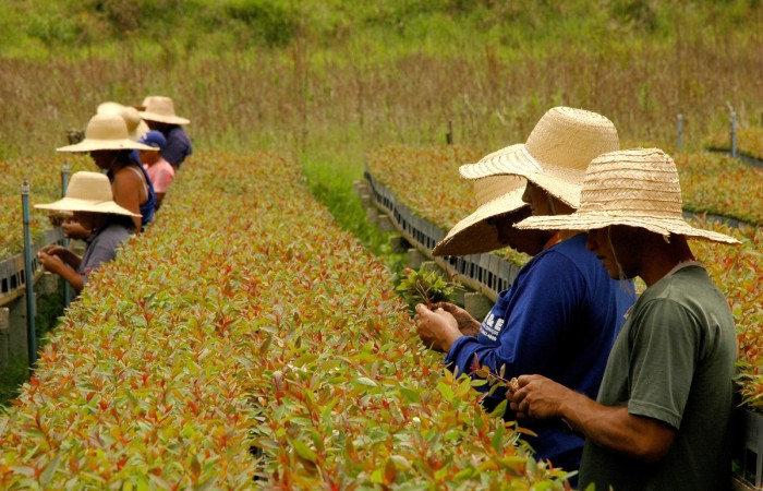 Minas Gerais representa o Brasil em participação inédita no US Climate Action Summit 2023