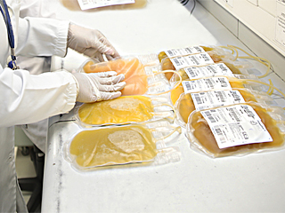  Hemominas seleciona voluntários para doação de plasma convalescente