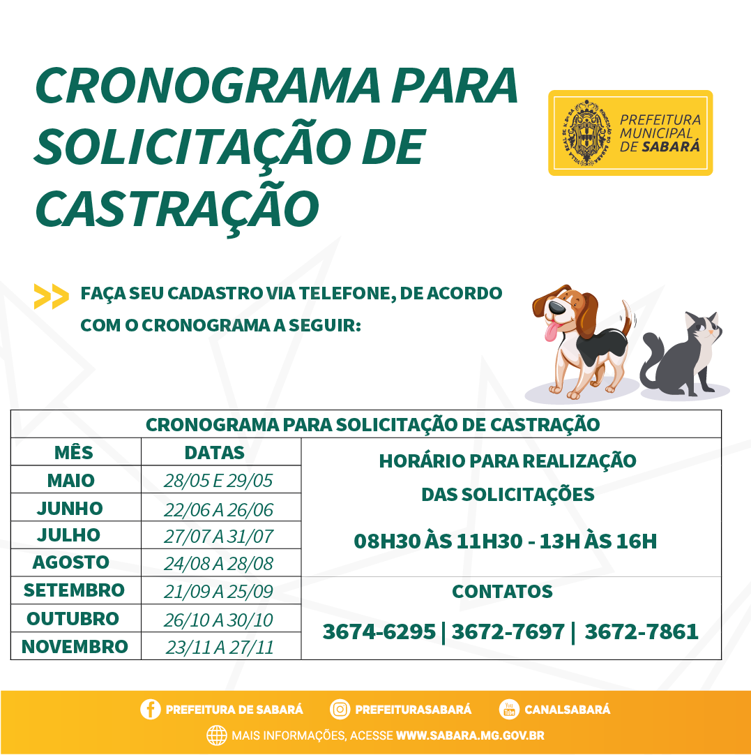 Segunda etapa de castração de cães e gatos já começou