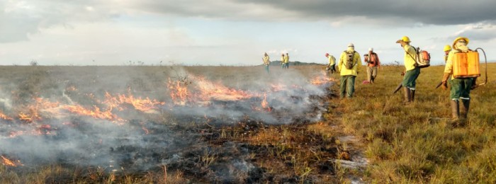 Instituto Estadual de Florestas usa queima prescrita em 23 Unidades de Conservação para evitar grandes incêndios
