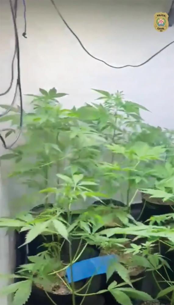 PCMG desarticula laboratório de drogas em BH