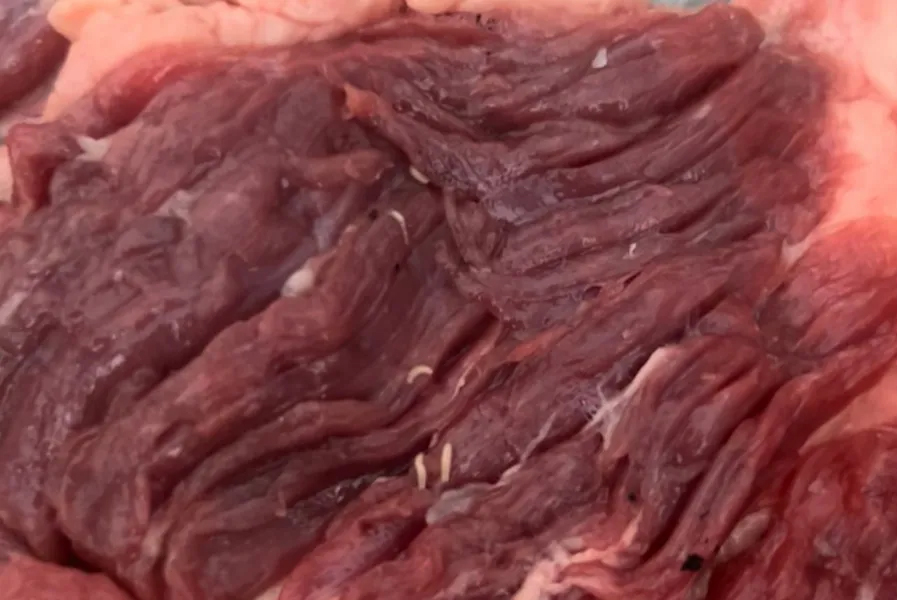 Consumidor deverá ser indenizado por supermercado que vendeu carne com larvas