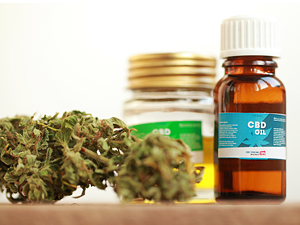 TJMG autoriza plantio de maconha para fins medicinais