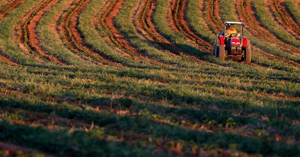 Em MG, para agricultura foi liberado entre julho e setembro montante de R$ 14,34 bilhões (Paulo Whitaker/Reuters)