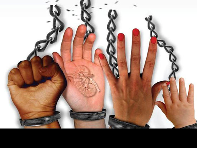 “É para a liberdade que Cristo nos libertou”