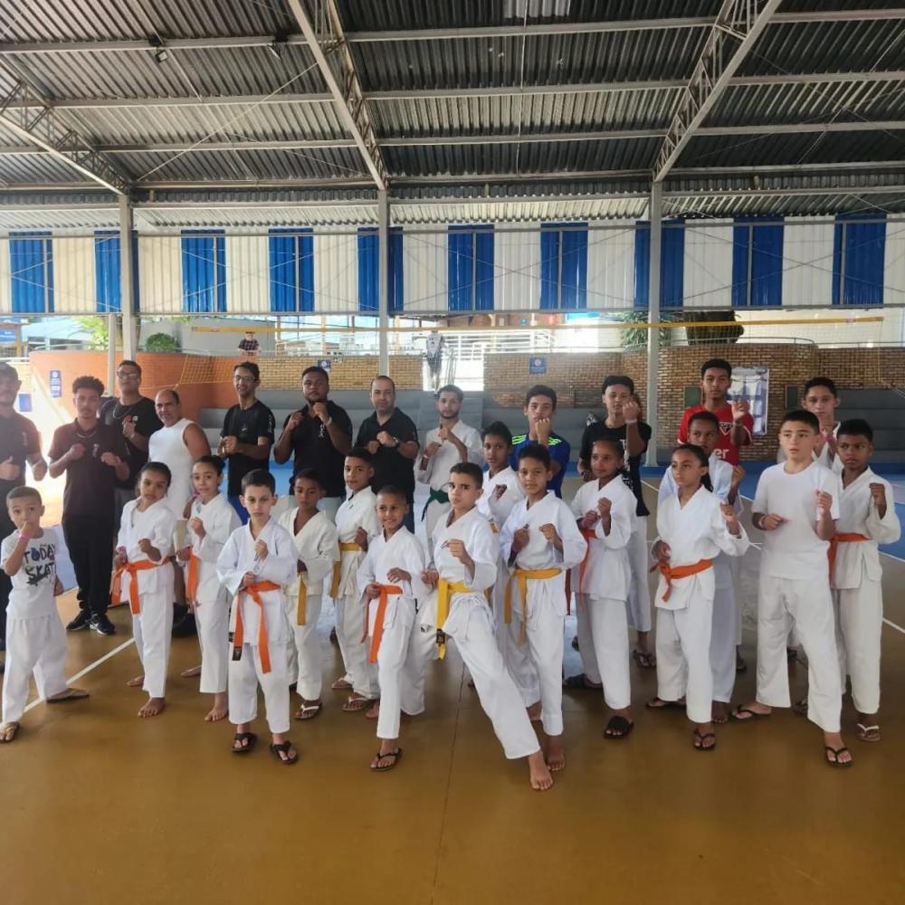 Dênis Dojo: A Nova Referência do Karatê em Minas Gerais