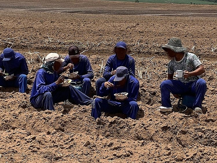 Na maioria dos casos, a pessoas foram encontradas na área rural (Reprodução)