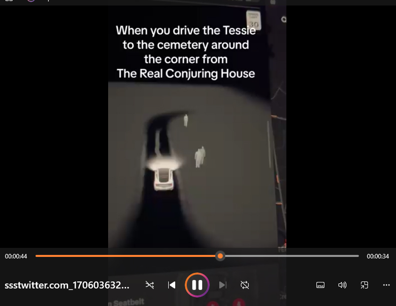 Motorista e passageiros se assustam após câmera do Tesla detectar supostos fantasmas em cemitério.