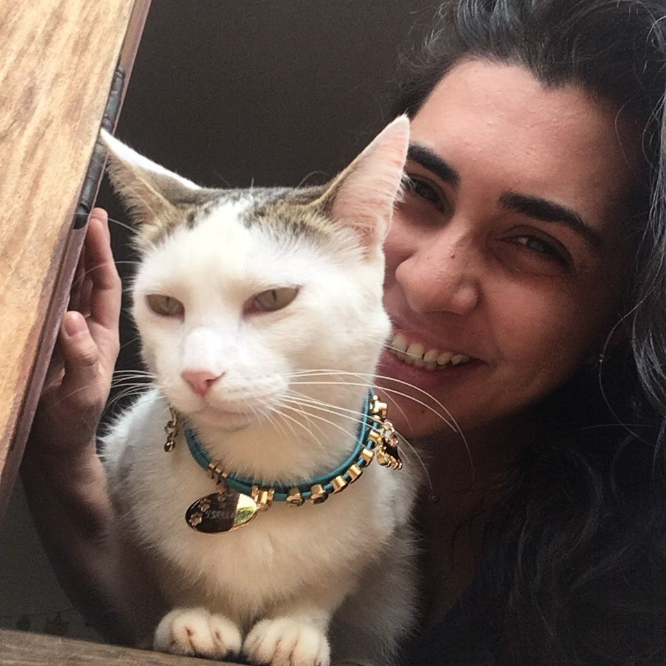 Pets adotados inspiram negócios e transformam vida de tutores