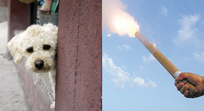 Fim do barulho em Sabará: projeto de Lei quer proibir a soltura de fogos com estampido 