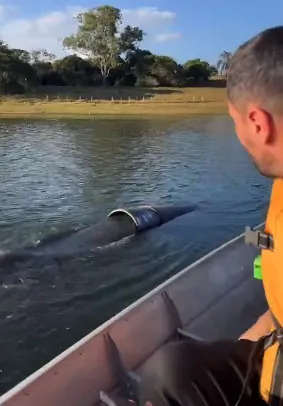 URGENTE: Senador Cleitinho denuncia COPASA por despejo de esgoto na Lagoa de Furnas em Minas Gerais