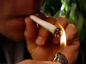 Entenda a decisão do STF sobre descriminalização do porte de maconha