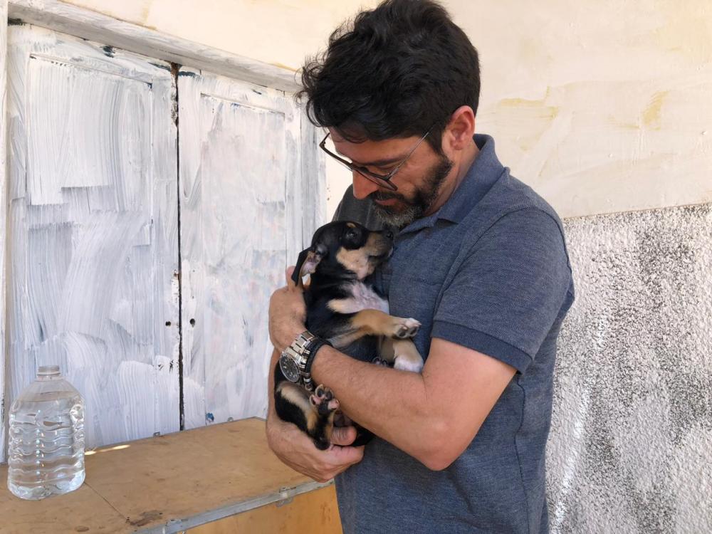 Minas Gerais inaugura primeiro Hospital Público Veterinário