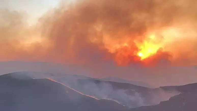 Incêndio devasta Serra do Cipó: Parque Nacional de Minas Gerais sofre com chamas há três dias
