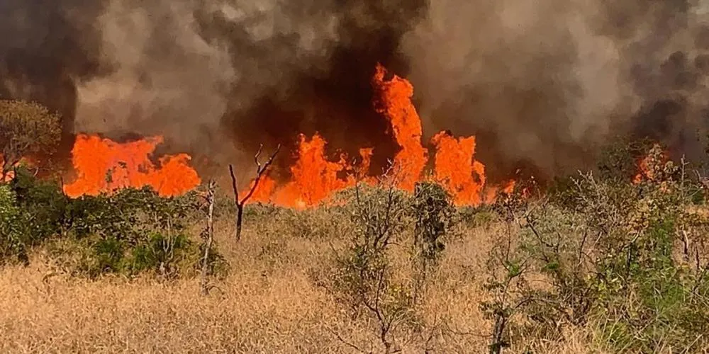 Chamas e destruição: A urgência de preservar a natureza e combater as queimadas em Sabará