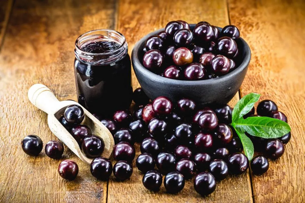 O maior Festival da Jabuticaba do Brasil está chegando: 38ª Edição em Sabará