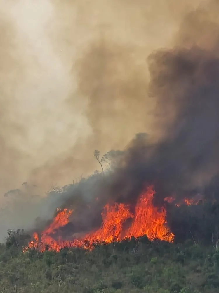 Incêndio avança sem controle entre Sabará e Caeté, e ameaça moradores do bairro Pompéu