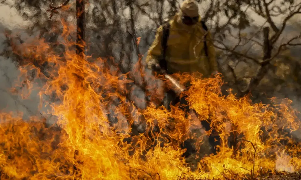 Incêndios impactam percepção sobre o país no Sudeste, mas otimismo pessoal persiste