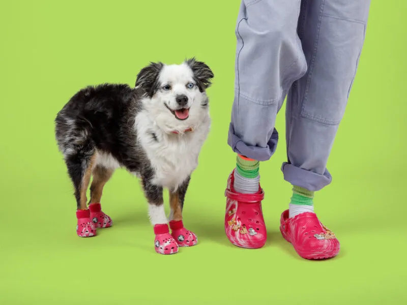 Crocs lança calçado para cães com modelos que brilham no escuro