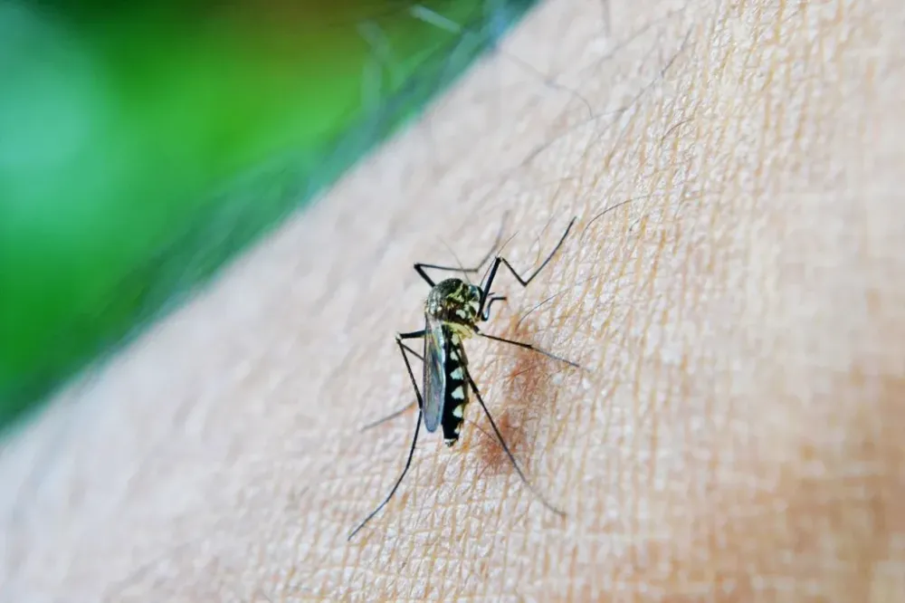Sabará: aumento de casos de Dengue mobiliza agentes de combate a endemias