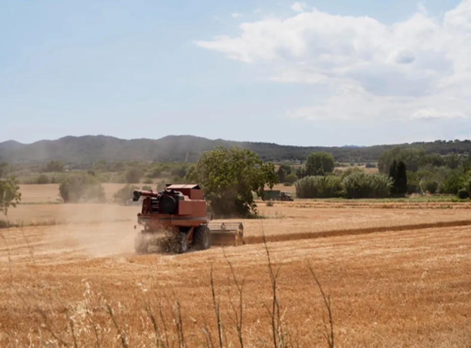 Como o software agrícola está contribuindo para práticas agrícolas sustentáveis
