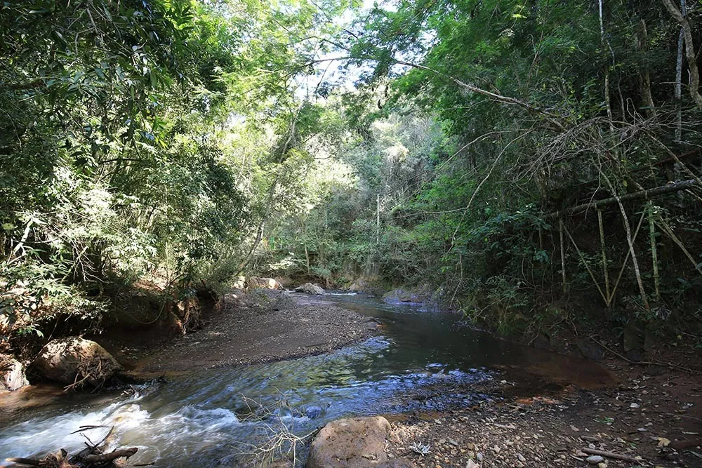 Instituto AngloGold Ashanti promove trilhas ecológicas em reservas naturais para celebrar o Dia do Meio Ambiente