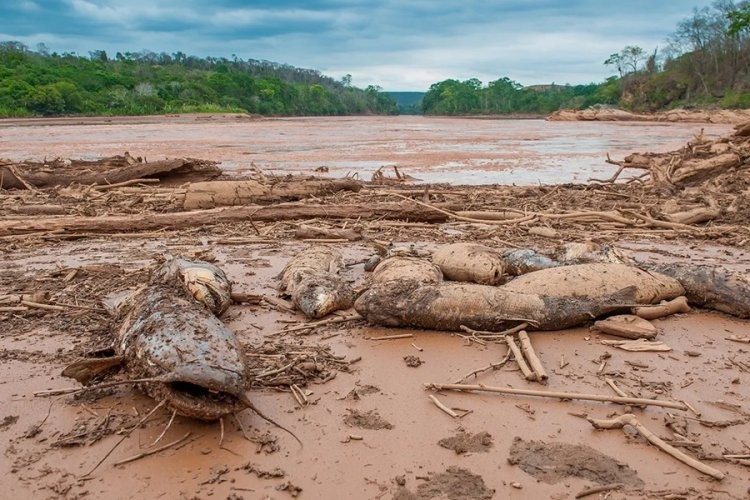 PIB de Valadares perdeu com desastre