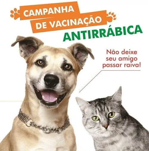 Sabará inicia Campanha de Vacinação Antirrábica neste sábado (23/08) para cães e gatos