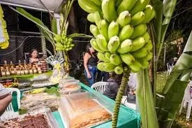 Festival da Banana de Ravena agita Sabará neste fim de semana com gastronomia, cultura e esportes