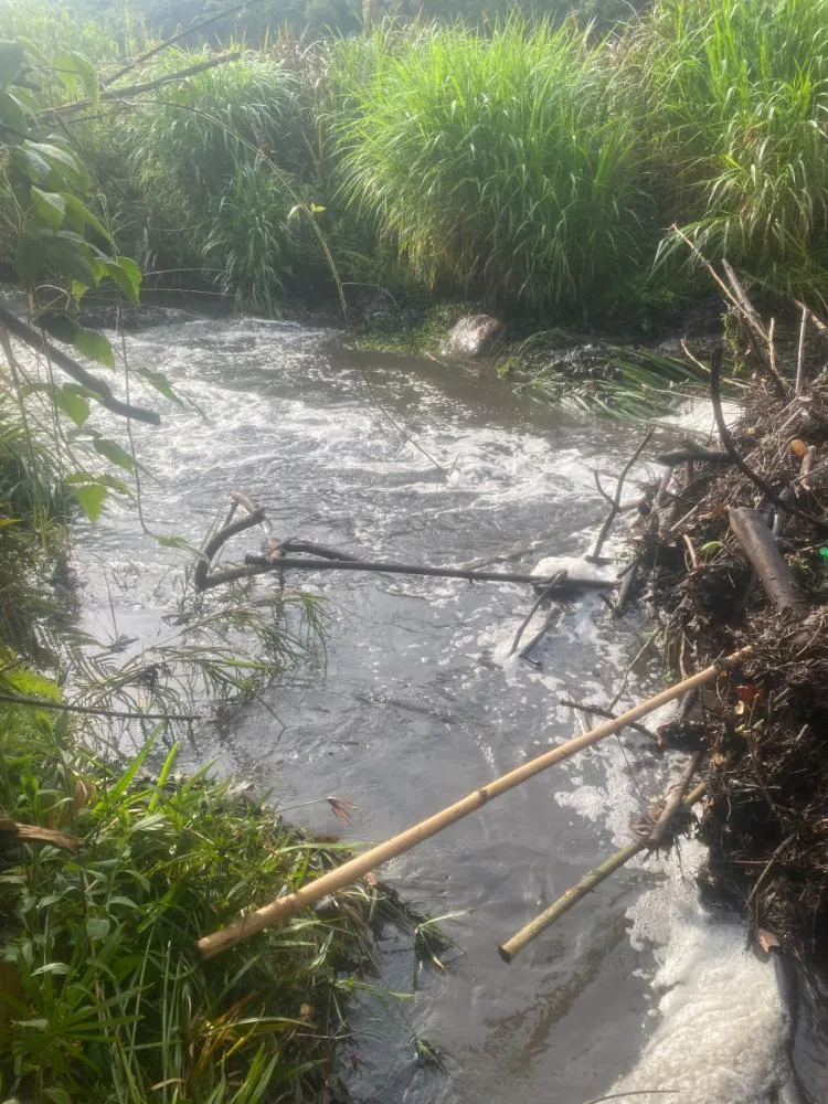 Rio Sabará apresenta tonalidade escura e cheiro forte após chuvas no Pompéu