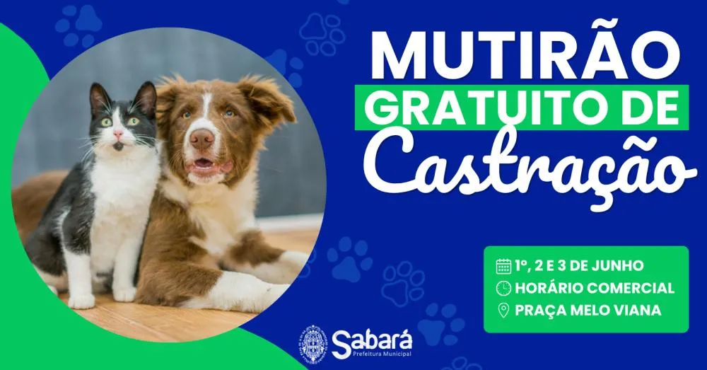 Mutirão de castração em Sabará vai atender 300 cães e gatos na Praça Melo Viana